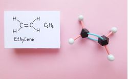 Ethylene Market Faces Overall Downtrend in H1 2026 Despite Limited Stabilisation